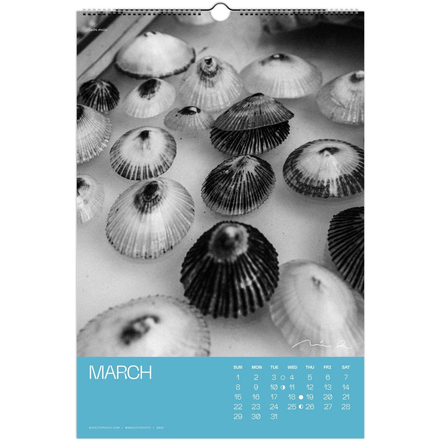 d42cdf14-90b3-4ef1-b028-922bb93a7eed